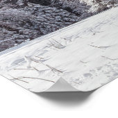 Poster Chêne neigeux (Coin)