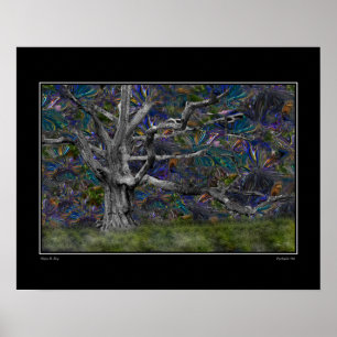 Poster Chêne psychédélique