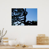 Poster Chêne Wayward (Cuisine)