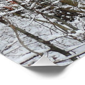 Poster Chênes couverts de neige hiver Photographie de la  (Coin)