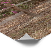 Poster Chênes et mousse d'Espagne (Coin)