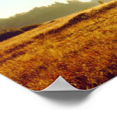 Poster Chênes noirs | Cleveland National Forest, CA (Coin)