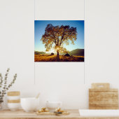 Poster Chênes noirs | Cleveland National Forest, CA (Cuisine)