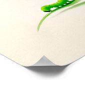 Poster chenille papillon chinois d'encre sur Linden (Coin)