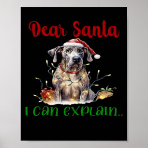 Poster Cher Père Noël, je peux expliquer T-Shirt essentie