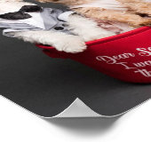 POSTER CHER PÈRE NOËL, JE VEUX TOUS LES OS (Coin)