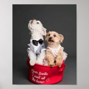 POSTER CHER PÈRE NOËL, JE VEUX TOUS LES OS