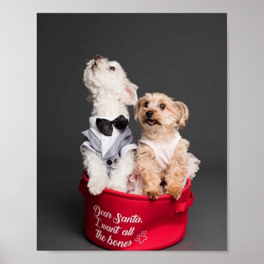 POSTER CHER PÈRE NOËL, JE VEUX TOUS LES OS (Devant)