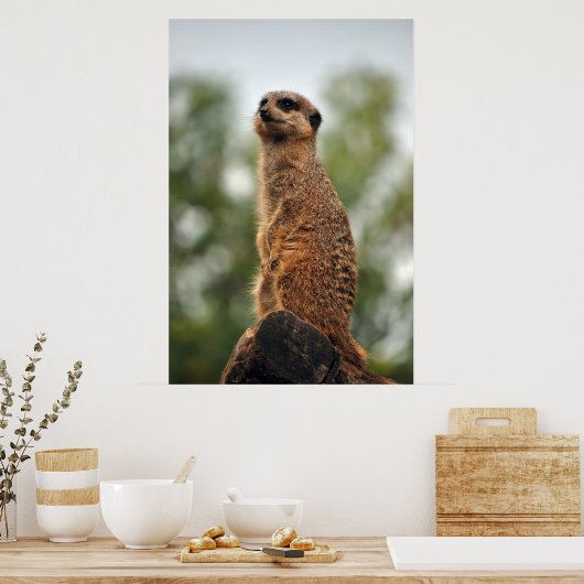 Poster Chercher l'amour (Cuisine)