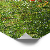 Poster Cherchez Ye Premier Royaume de Dieu (Coin)