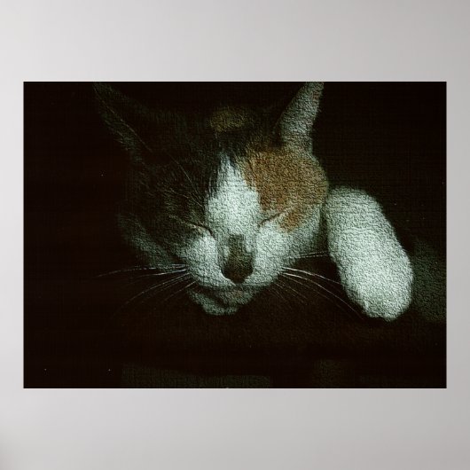 Poster Chérie endormie sur un arbre à chat (Devant)