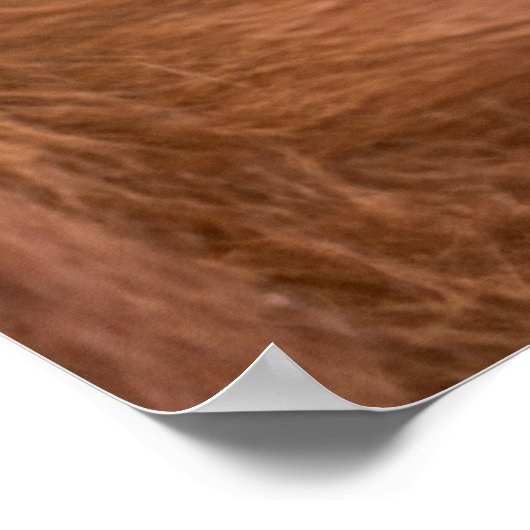 Poster Chérie Mère Orangoutan (Coin)