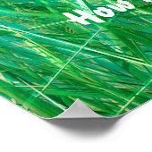 Poster Cherished Butterfly (Coin)