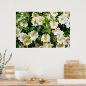 Poster Cherokee Rose (Cuisine)