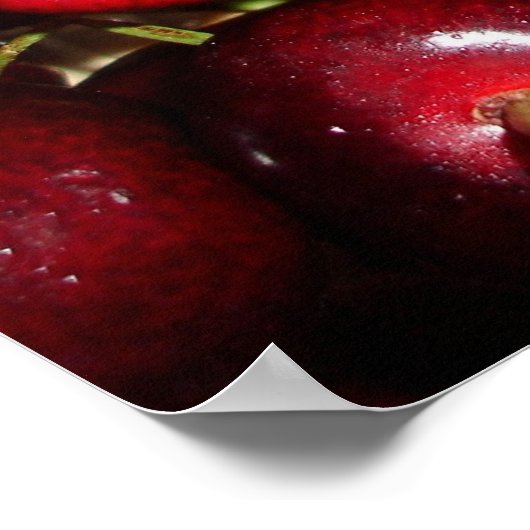 Poster Cherries (Coin)