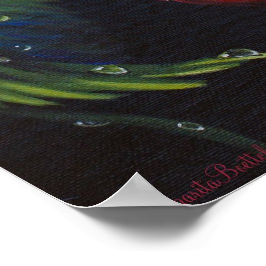 Poster Cherries (Coin)