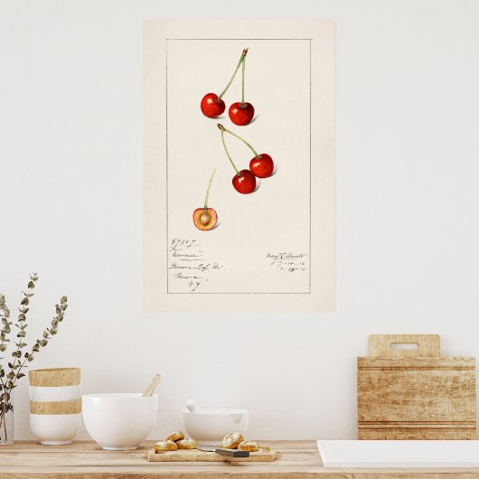 Poster Cherry (Cuisine)