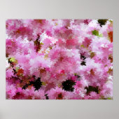 POSTER CHERRY BLOSSOM (Devant)