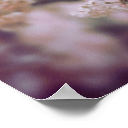 Poster Cherry Blossom (Coin)