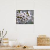 Poster Cherry Blossom 2 (Cuisine)