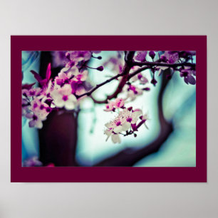 Poster Cherry Blossom Branch