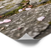 Poster Cherry Blossom Cat Serenity (Coin)