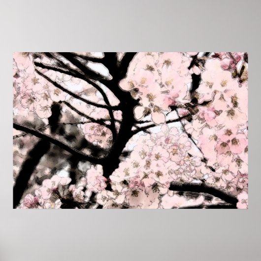 Poster Cherry Blossom édité (Devant)