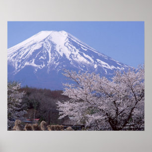 Poster Cherry Blossom et le mont Fuji