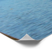 Poster Cherry Blossom Festival & Jefferson Memorial (Coin)