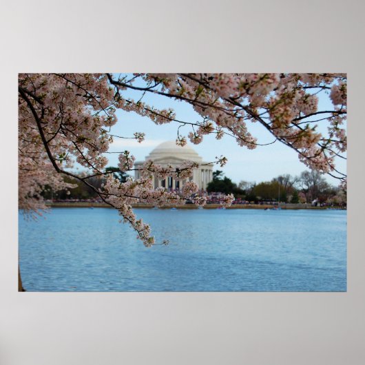 Poster Cherry Blossom Festival & Jefferson Memorial (Devant)