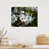 Poster Cherry Blossom II (Cuisine)