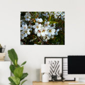 Poster Cherry Blossom II (Bureau à domicile)