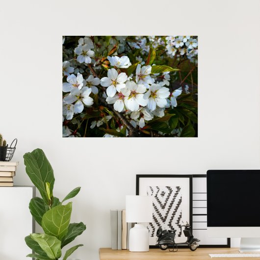 Poster Cherry Blossom II (Bureau à domicile)
