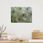 Poster Cherry Blossom Imprimer Imprimé blanc (Cuisine)