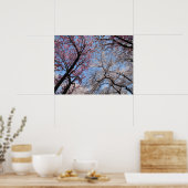 Poster Cherry Blossom : Japon (Cuisine)