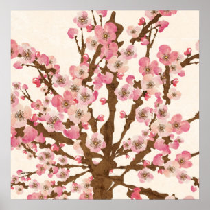 Poster Cherry blossom Print