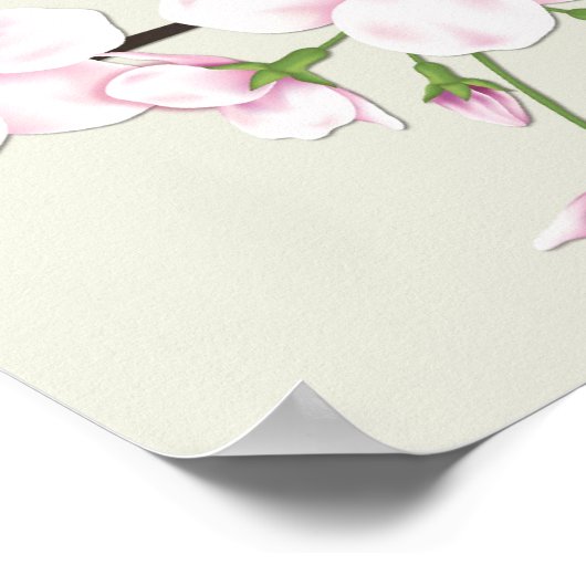 Poster Cherry Blossom Sakura Print (Coin)