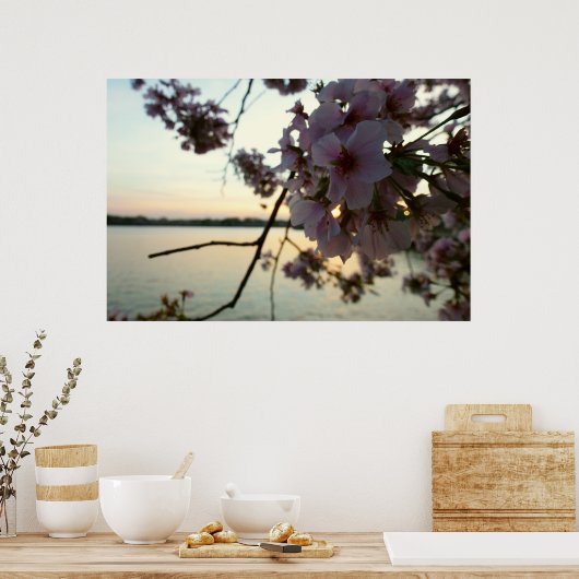 Poster Cherry Blossom Sunset à Washington DC (Cuisine)