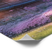 Poster Cherry Blossom Village (Coin)