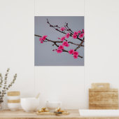 Poster Cherry Blossoms (Cuisine)