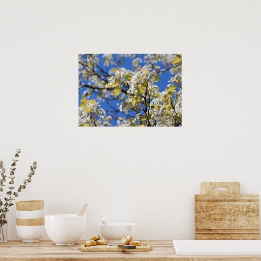 Poster Cherry Blossoms (Cuisine)