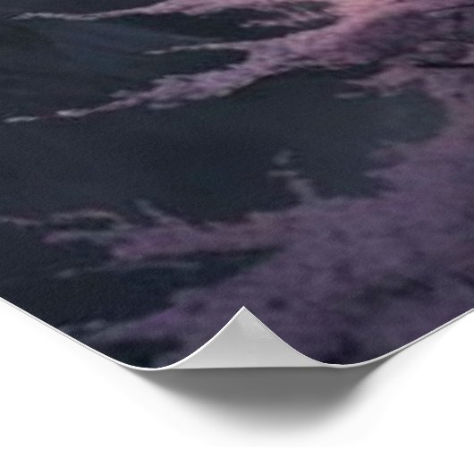 Poster cherry blossoms (Coin)