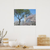 Poster Cherry Blossoms et le monument de Washington à DC (Cuisine)