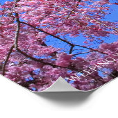 Poster Cherry de larmes : Yaebenishidare (Coin)