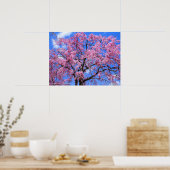 Poster Cherry de larmes : Yaebenishidare (Cuisine)