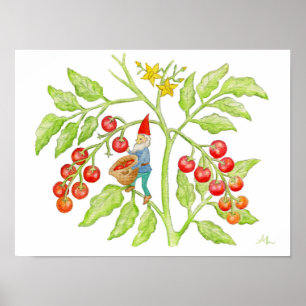 Poster Cherry Tomato Gnome art print