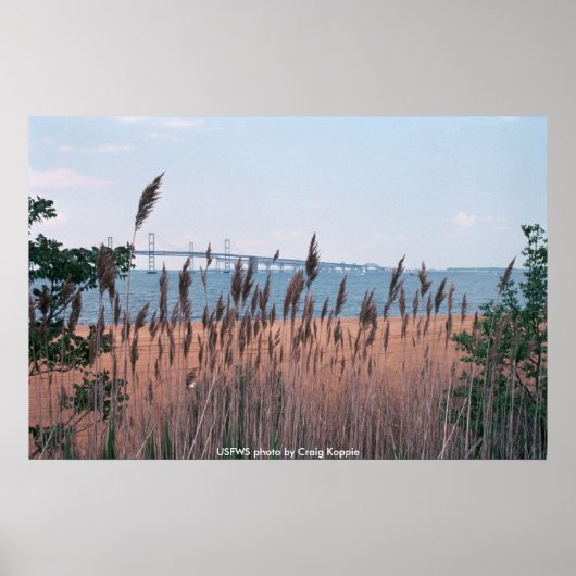 Poster / Chesapeak Bay Bridge (Voorkant)