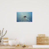 Poster / Chesapeake Bay Femme Crabe Bleu (Cuisine)
