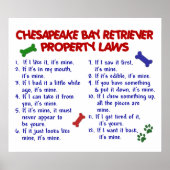 POSTER CHESAPEAKE BAY RETRIEVER PL2 (Devant)