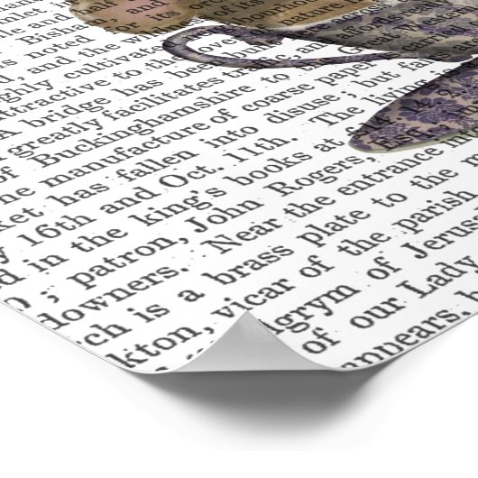 Poster Cheshire Chat Hot Air Balloon (Coin)